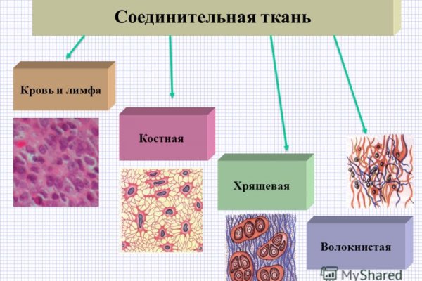 Кракена точка нет